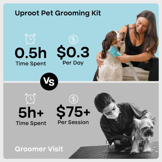 Pet Grooming Kit