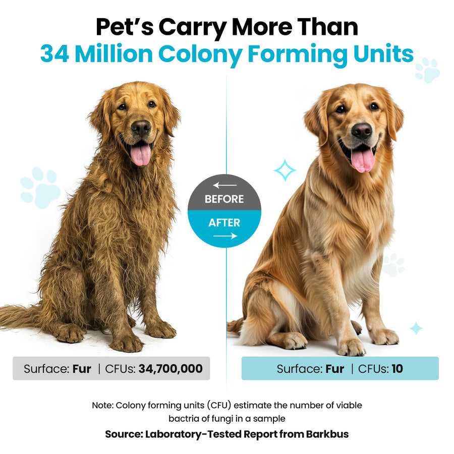 Pet Grooming Kit