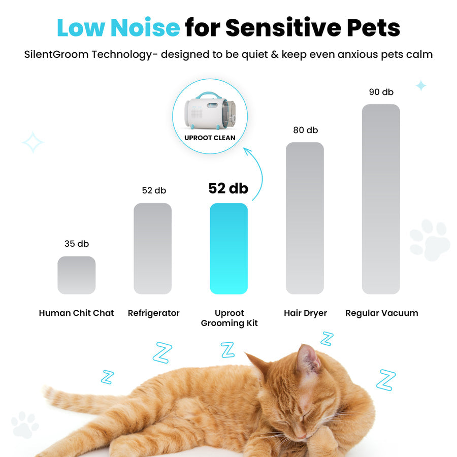 Pet Grooming Kit